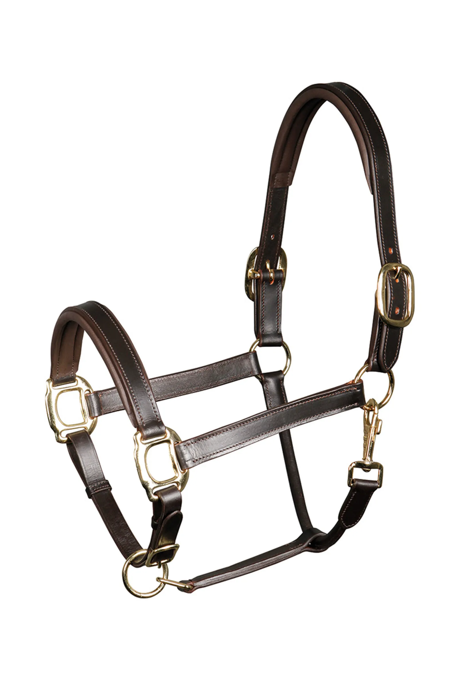 Capezza in pelle imbottita di cavallo di Harry