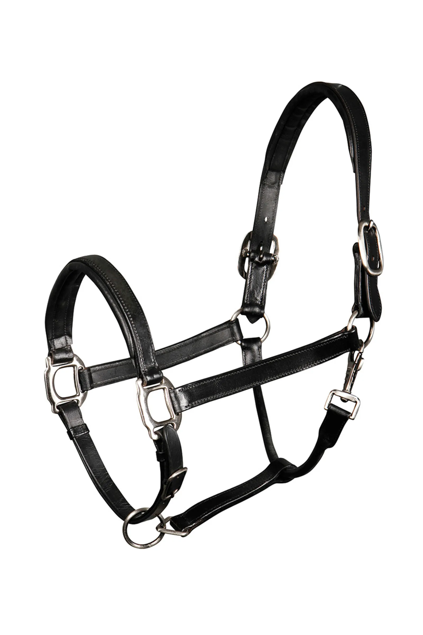 Capezza in pelle imbottita di cavallo di Harry