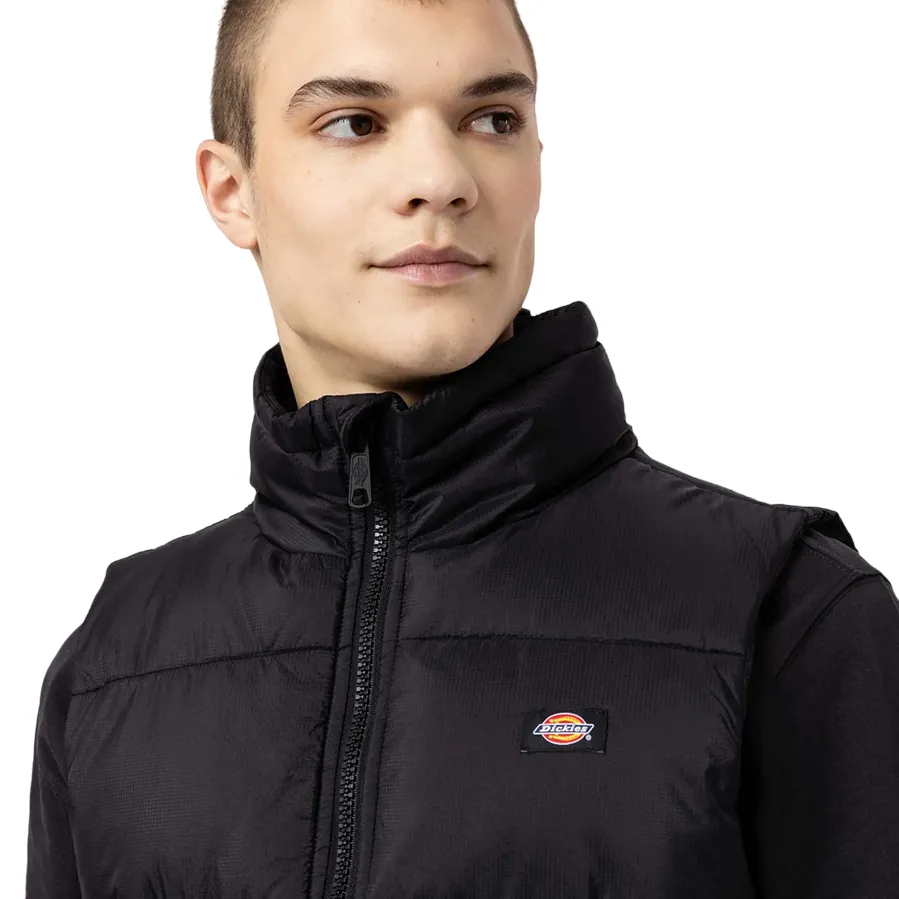 Dickies men's vest Waldenburg DK0A4Y2KBLK1 black