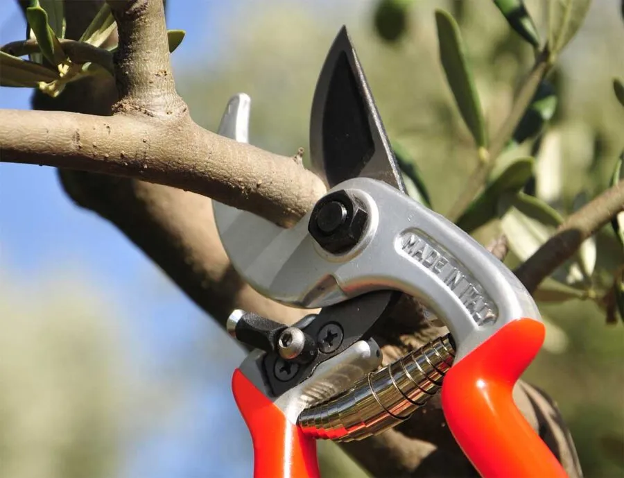 Forbice potatura CASTELLARI ERGONOMIC